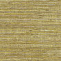 Panama | Dandy VP 711 06