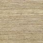 Panama | Musa VP 710 07
