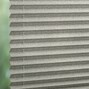 Sycamore Stainstop 1962