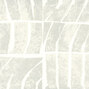 Voiles de papier | Conte initiatique | TP 328 01
